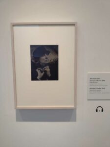 Image from Georgia O'Keefe Museum in Santa Fe