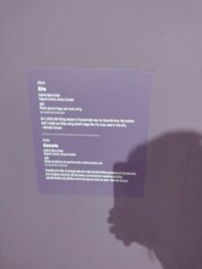 IntlFolkArtMuseumSantaFeMay2024-154