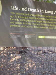 LACMASept2024-1 image from LACMA - LA County Museum of Art - Sept 2024