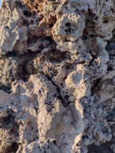 MammothJuneLakeMonoLake2024-100 image from Mammoth, June Lake & Mono Lake area - Aug 2024