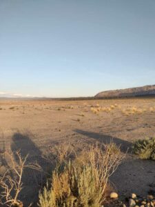 MammothJuneLakeMonoLake2024-101 image from Mammoth, June Lake & Mono Lake area - Aug 2024