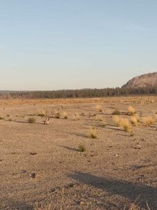 MammothJuneLakeMonoLake2024-102 image from Mammoth, June Lake & Mono Lake area - Aug 2024