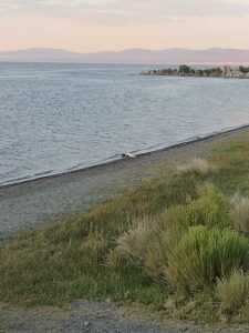 MammothJuneLakeMonoLake2024-110 image from Mammoth, June Lake & Mono Lake area - Aug 2024