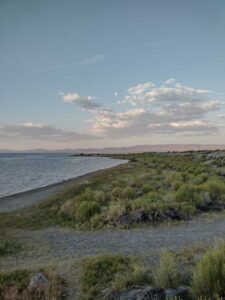 MammothJuneLakeMonoLake2024-111 image from Mammoth, June Lake & Mono Lake area - Aug 2024