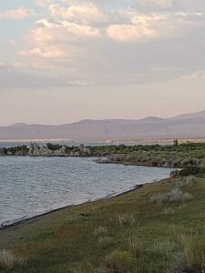 MammothJuneLakeMonoLake2024-112 image from Mammoth, June Lake & Mono Lake area - Aug 2024
