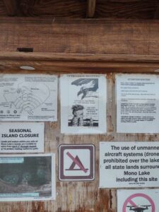 MammothJuneLakeMonoLake2024-119 image from Mammoth, June Lake & Mono Lake area - Aug 2024