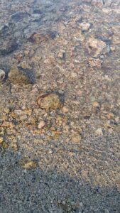 MammothJuneLakeMonoLake2024-125 image from Mammoth, June Lake & Mono Lake area - Aug 2024