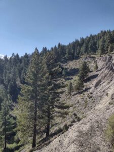 MammothJuneLakeMonoLake2024-24 image from Mammoth, June Lake & Mono Lake area - Aug 2024