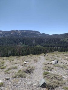 MammothJuneLakeMonoLake2024-3 image from Mammoth, June Lake & Mono Lake area - Aug 2024