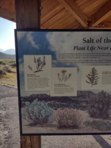 MammothJuneLakeMonoLake2024-60 image from Mammoth, June Lake & Mono Lake area - Aug 2024