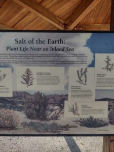 MammothJuneLakeMonoLake2024-61 image from Mammoth, June Lake & Mono Lake area - Aug 2024