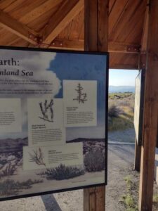 MammothJuneLakeMonoLake2024-62 image from Mammoth, June Lake & Mono Lake area - Aug 2024