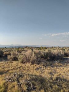 MammothJuneLakeMonoLake2024-63 image from Mammoth, June Lake & Mono Lake area - Aug 2024