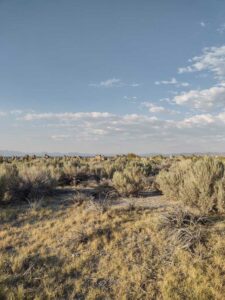 MammothJuneLakeMonoLake2024-64 image from Mammoth, June Lake & Mono Lake area - Aug 2024