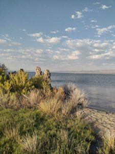 MammothJuneLakeMonoLake2024-87 image from Mammoth, June Lake & Mono Lake area - Aug 2024