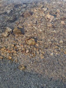 MammothJuneLakeMonoLake2024-90 image from Mammoth, June Lake & Mono Lake area - Aug 2024