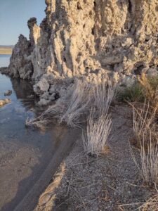 MammothJuneLakeMonoLake2024-91 image from Mammoth, June Lake & Mono Lake area - Aug 2024