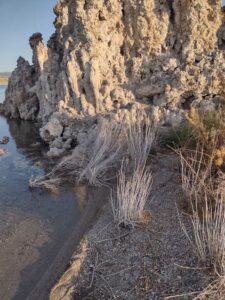 MammothJuneLakeMonoLake2024-93 image from Mammoth, June Lake & Mono Lake area - Aug 2024