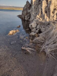 MammothJuneLakeMonoLake2024-94 image from Mammoth, June Lake & Mono Lake area - Aug 2024