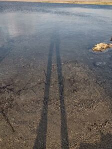 MammothJuneLakeMonoLake2024-96 image from Mammoth, June Lake & Mono Lake area - Aug 2024