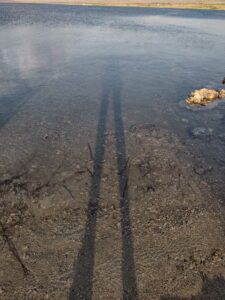 MammothJuneLakeMonoLake2024-97 image from Mammoth, June Lake & Mono Lake area - Aug 2024