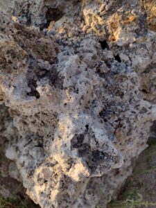 MammothJuneLakeMonoLake2024-98 image from Mammoth, June Lake & Mono Lake area - Aug 2024