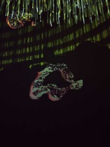 MeowWolfSantaFeMay2024-10 Image from Meow Wolf in Santa Fe NM