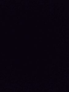 MeowWolfSantaFeMay2024-11 Image from Meow Wolf in Santa Fe NM