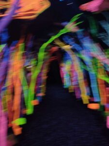 MeowWolfSantaFeMay2024-2 Image from Meow Wolf in Santa Fe NM