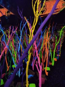 MeowWolfSantaFeMay2024-3 Image from Meow Wolf in Santa Fe NM