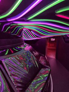 MeowWolfSantaFeMay2024-38 Image from Meow Wolf in Santa Fe NM