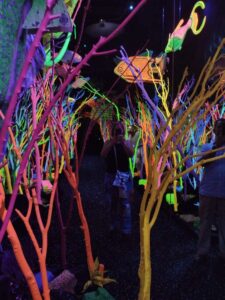 MeowWolfSantaFeMay2024-4 Image from Meow Wolf in Santa Fe NM