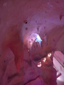 MeowWolfSantaFeMay2024-43 Image from Meow Wolf in Santa Fe NM