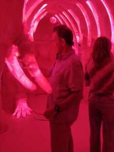 MeowWolfSantaFeMay2024-47 Image from Meow Wolf in Santa Fe NM