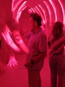 MeowWolfSantaFeMay2024-48 Image from Meow Wolf in Santa Fe NM