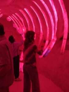 MeowWolfSantaFeMay2024-49 Image from Meow Wolf in Santa Fe NM