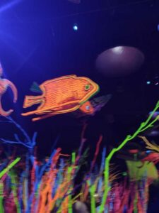 MeowWolfSantaFeMay2024-5 Image from Meow Wolf in Santa Fe NM