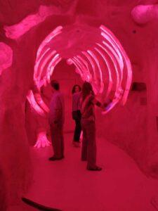 MeowWolfSantaFeMay2024-50 Image from Meow Wolf in Santa Fe NM