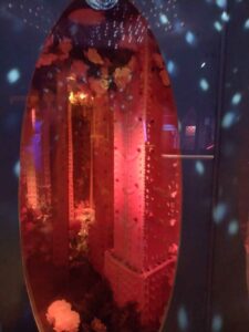 MeowWolfSantaFeMay2024-53 Image from Meow Wolf in Santa Fe NM