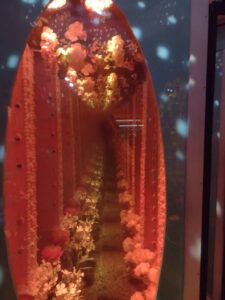 MeowWolfSantaFeMay2024-54 Image from Meow Wolf in Santa Fe NM