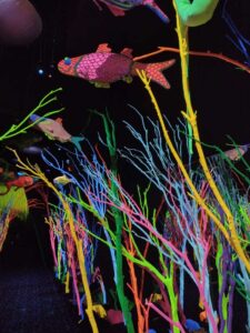 MeowWolfSantaFeMay2024-6 Image from Meow Wolf in Santa Fe NM