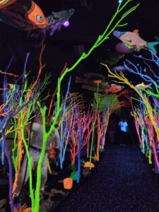 MeowWolfSantaFeMay2024-7 Image from Meow Wolf in Santa Fe NM