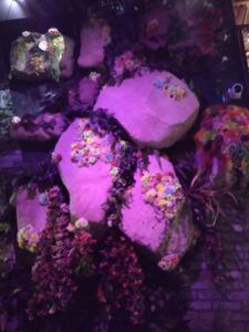 MeowWolfSantaFeMay2024-75 Image from Meow Wolf in Santa Fe NM