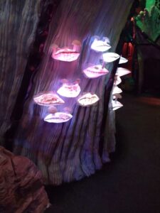 MeowWolfSantaFeMay2024-86 Image from Meow Wolf in Santa Fe NM