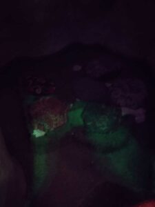 MeowWolfSantaFeMay2024-87 Image from Meow Wolf in Santa Fe NM