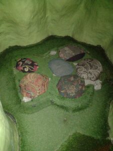 MeowWolfSantaFeMay2024-88 Image from Meow Wolf in Santa Fe NM