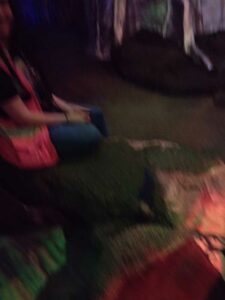 MeowWolfSantaFeMay2024-89 Image from Meow Wolf in Santa Fe NM