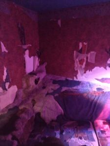 MeowWolfSantaFeMay2024-90 Image from Meow Wolf in Santa Fe NM