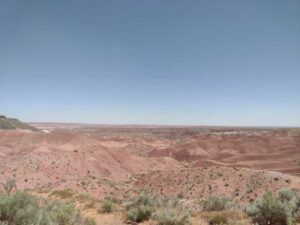 Image from northern NM road trip 2024