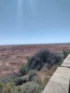 Image from northern NM road trip 2024